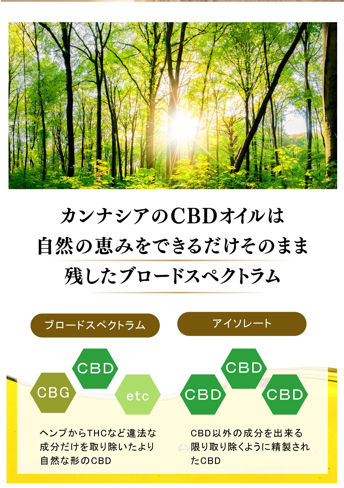 CANNAXIA カンナシア CBDオイル ブロードスペクトラム 高濃度CBD55% 5500mg配合 容量 10ml 日本製