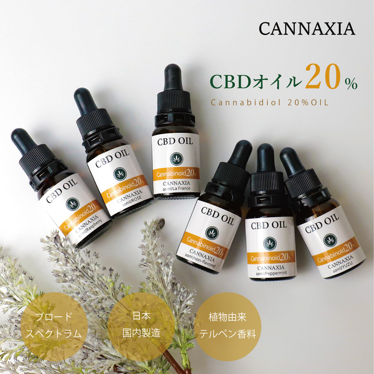 CANNAXIA カンナシア CBDオイル  高濃度CBD20% 2000mg配合 ブロードスペクトラム 日本製 容量 10ml