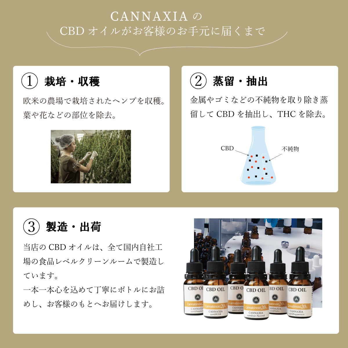 CANNAXIA カンナシア CBDオイル  高濃度CBD20% 2000mg配合 ブロードスペクトラム 日本製 容量 10ml