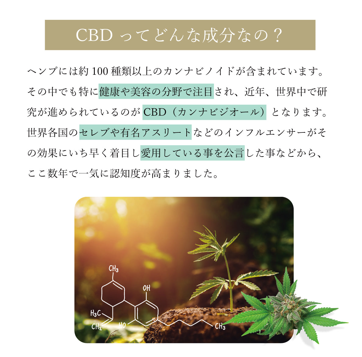 CANNAXIA | CBDオイルの通販 高濃度CBD30% 3,000mg CBN5% 500mg配合