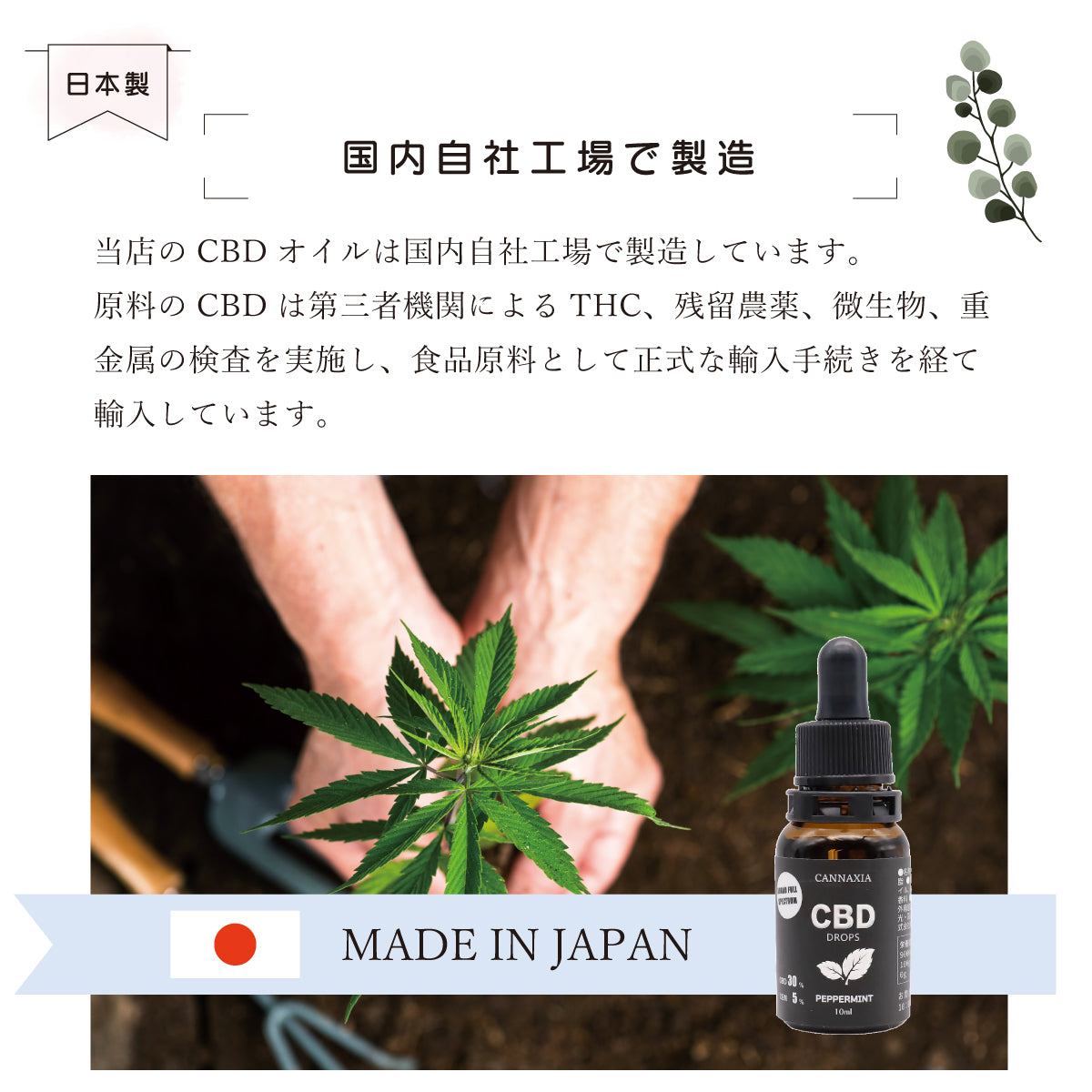 CANNAXIA | CBDオイルの通販 高濃度CBD30% 3,000mg CBN5% 500mg配合