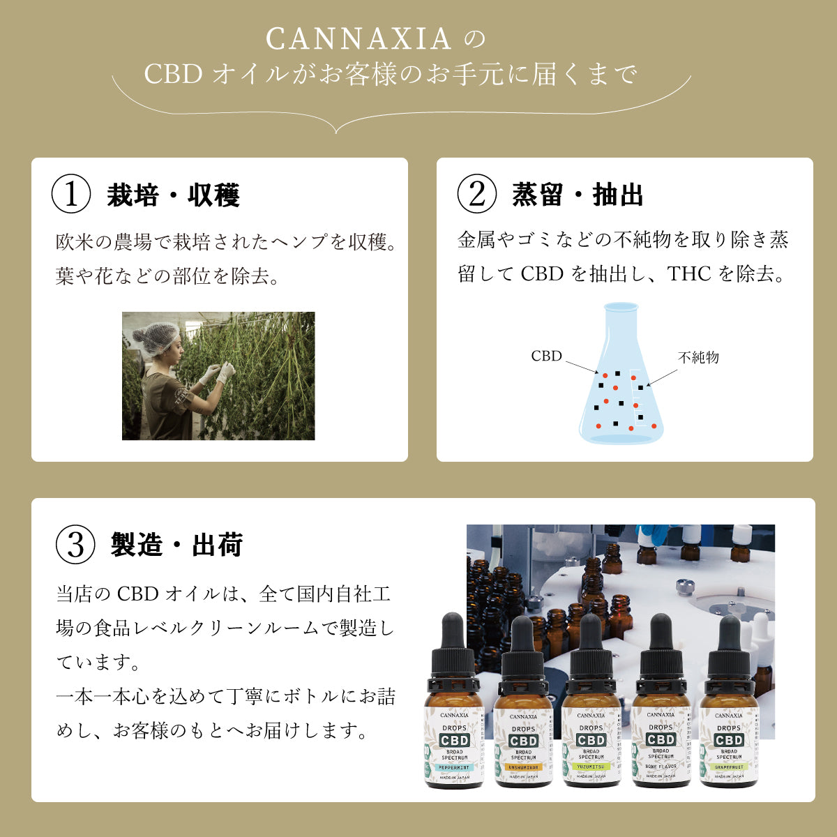 CANNAXIA | CBDオイルの通販 高濃度CBD30% 3,000mg配合 日本製 4種類の 