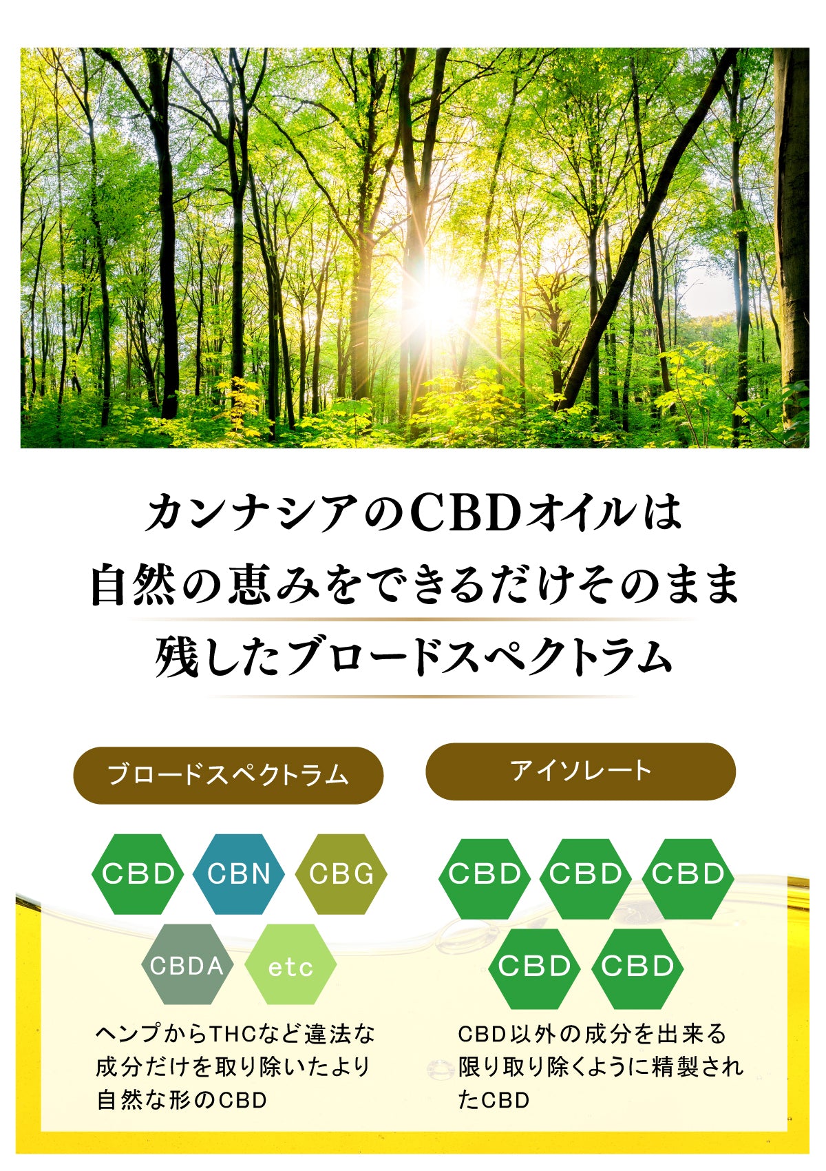 CANNAXIA カンナシア CBDオイル ブロードスペクトラム 高濃度CBD55% 5500mg配合 容量 10ml 日本製